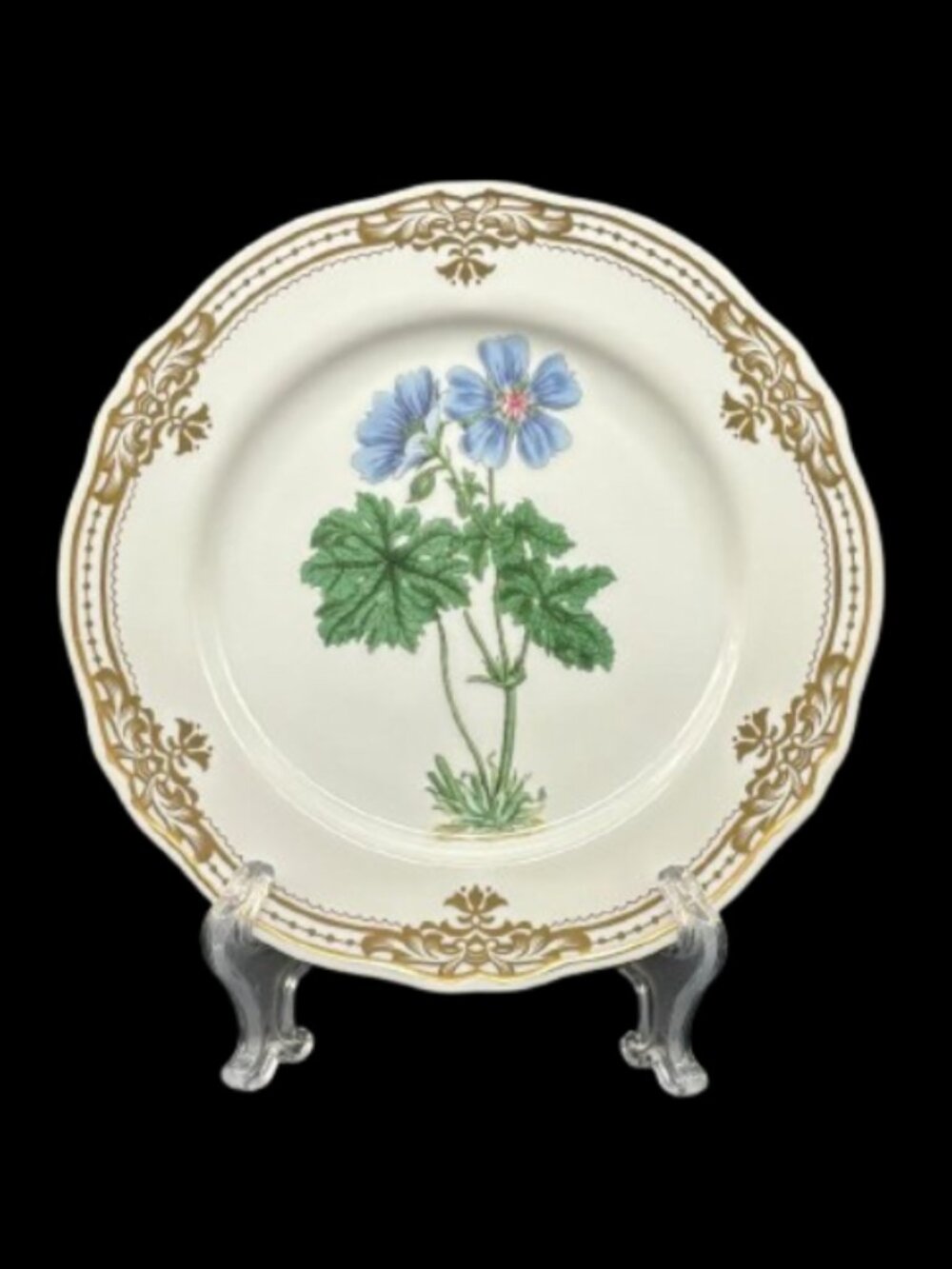 Vintage Andrea by Sadek Golden Botanical by Samuel Curtis Anemone Dessert Plate